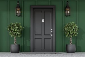 beautiful front green door